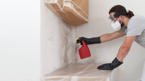 Professional Mold Removal technician working in Lowell, MA