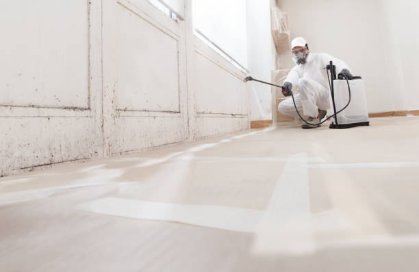 24/7 Emergency Mold Removal experts in Lowell, MA