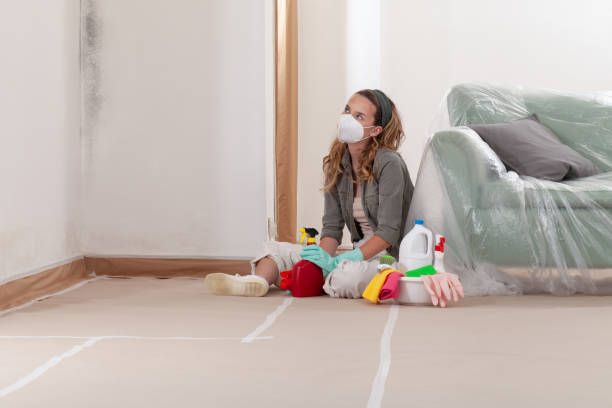 Reliable Mold Removal contractor in Lowell, MA by Car Mold Remediation